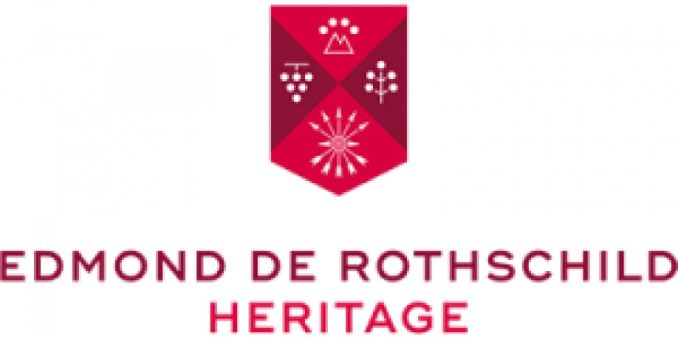 Logo 4